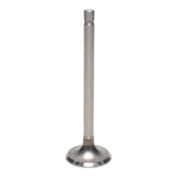 Exhaust Valve