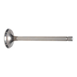 Exhaust Valve