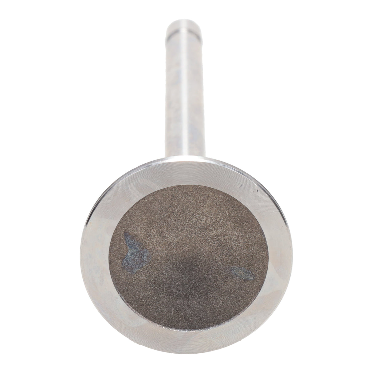 Exhaust Valve
