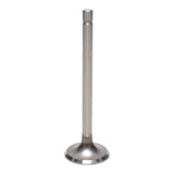 Exhaust Valve
