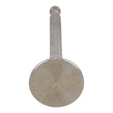 Exhaust Valve