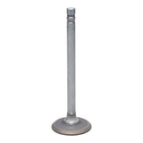 Exhaust Valve