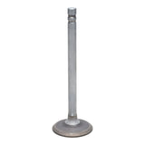 Exhaust Valve