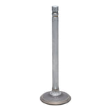 Exhaust Valve