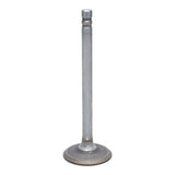 Exhaust Valve