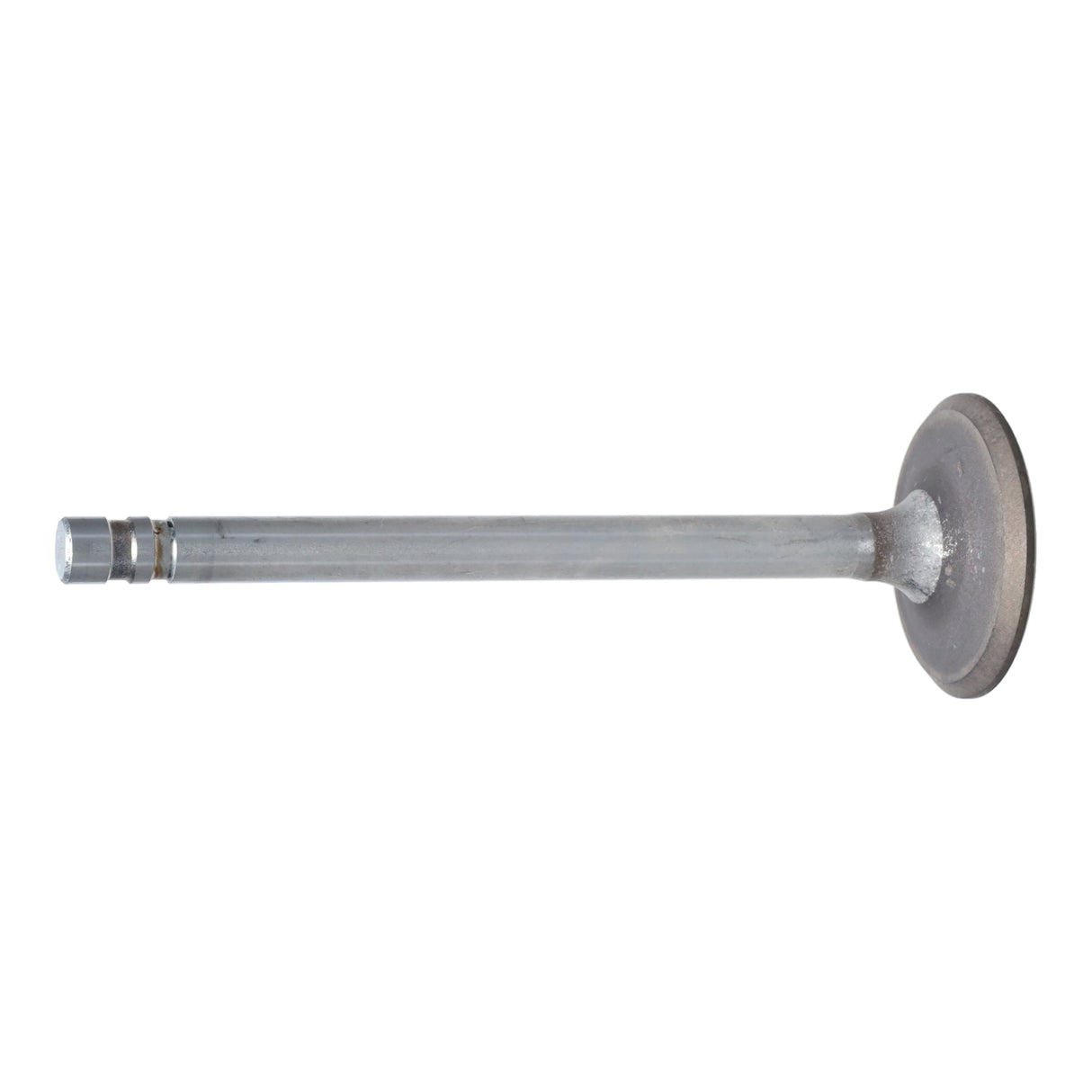 Exhaust Valve