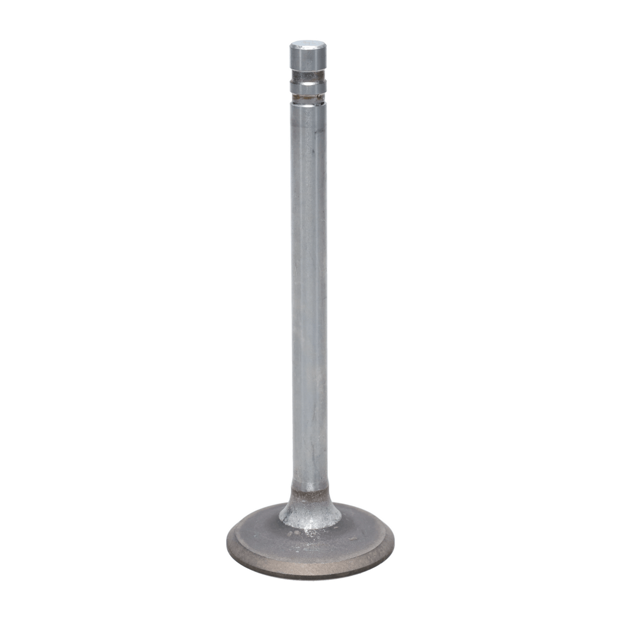 Exhaust Valve