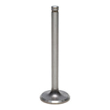 Exhaust Valve