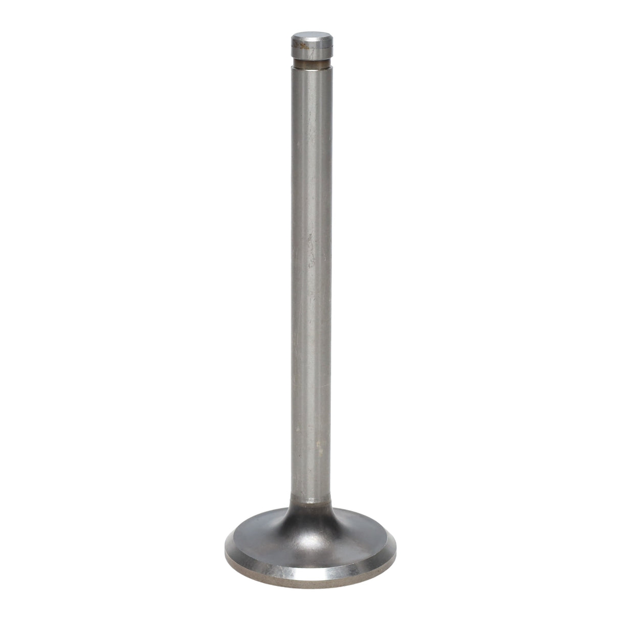 Exhaust Valve