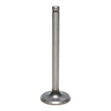 Exhaust Valve