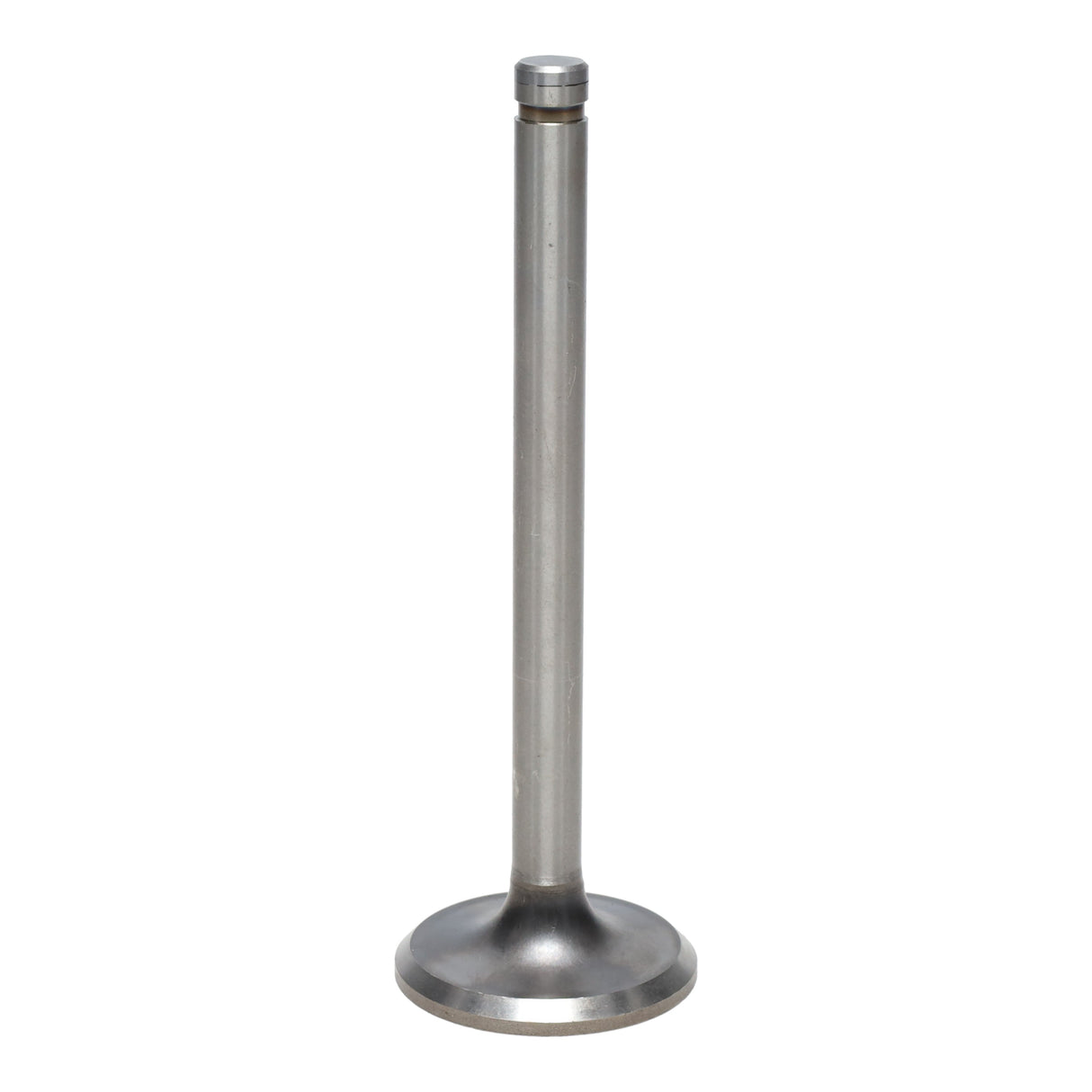 Exhaust Valve