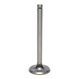 Exhaust Valve
