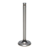 Exhaust Valve