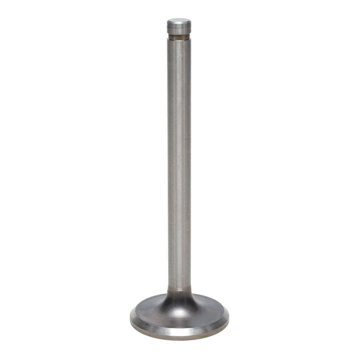 Exhaust Valve