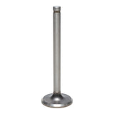 Exhaust Valve