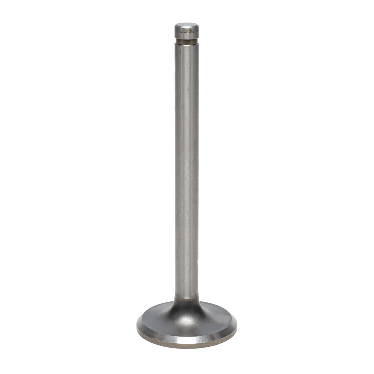 Exhaust Valve