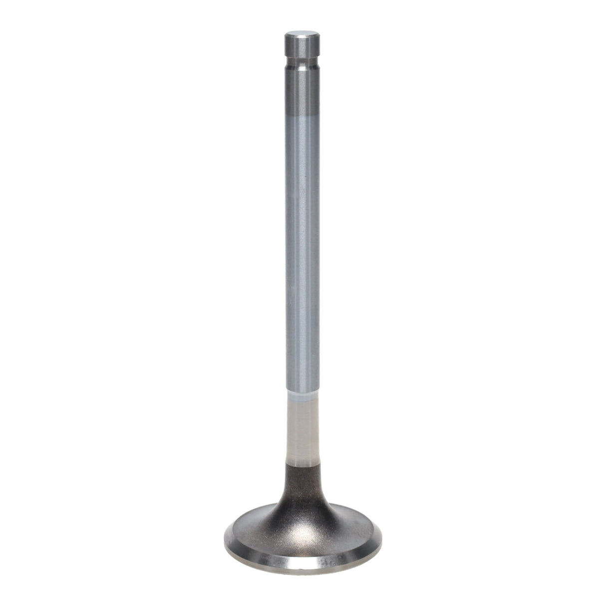 Exhaust Valve