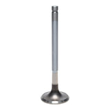 Exhaust Valve