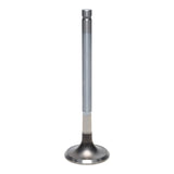 Exhaust Valve