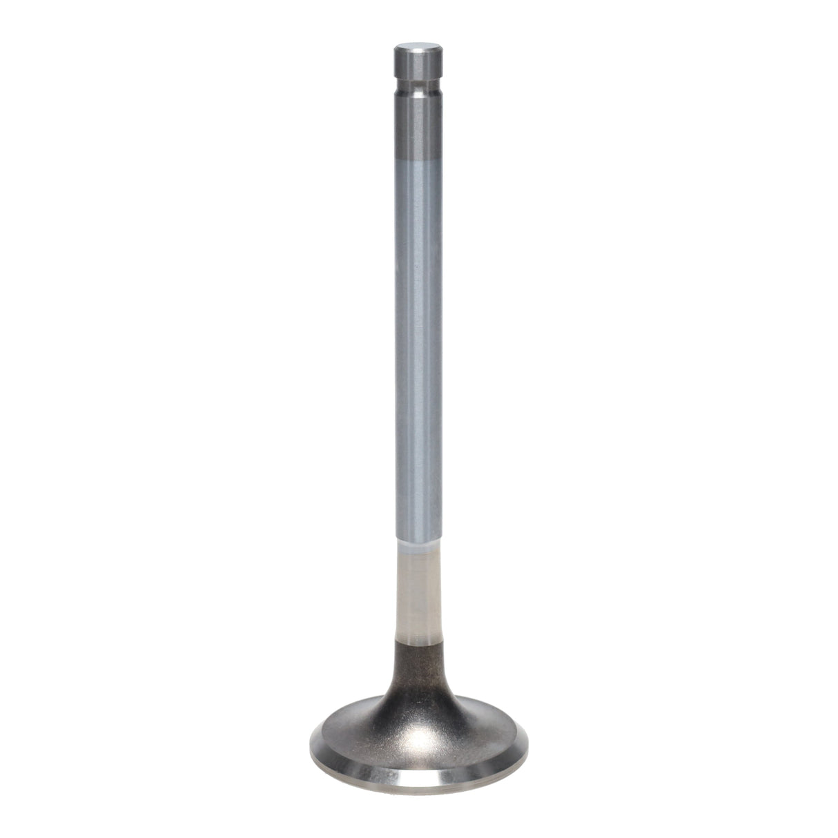 Exhaust Valve