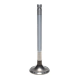 Exhaust Valve
