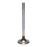 Exhaust Valve