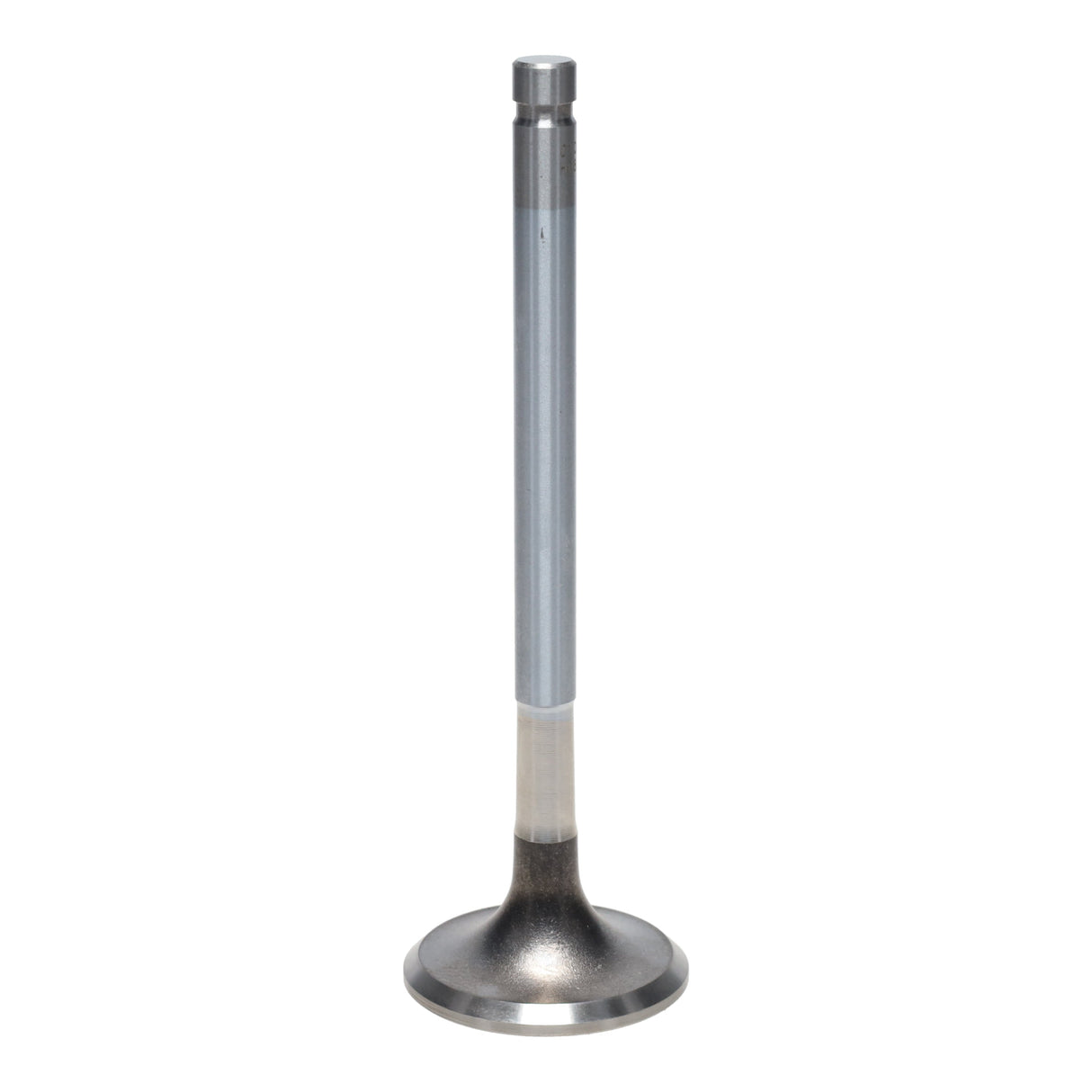 Exhaust Valve