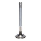 Exhaust Valve