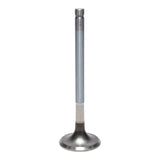 Exhaust Valve