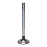 Exhaust Valve