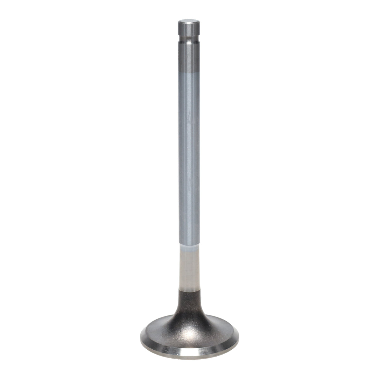 Exhaust Valve