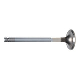 Exhaust Valve