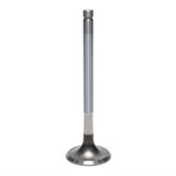 Exhaust Valve