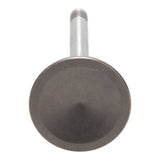 Exhaust Valve