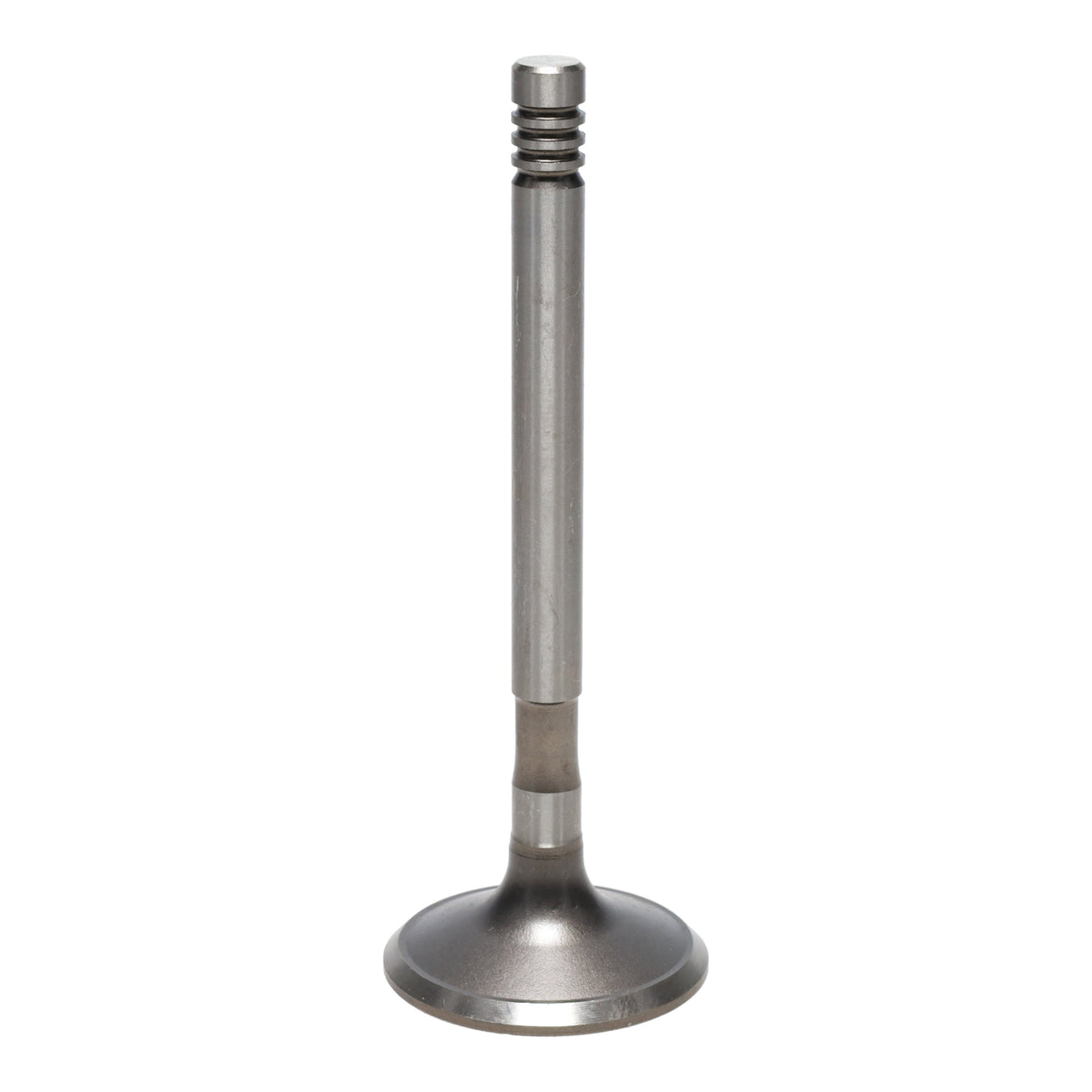 Exhaust Valve