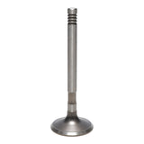 Exhaust Valve