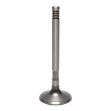 Exhaust Valve