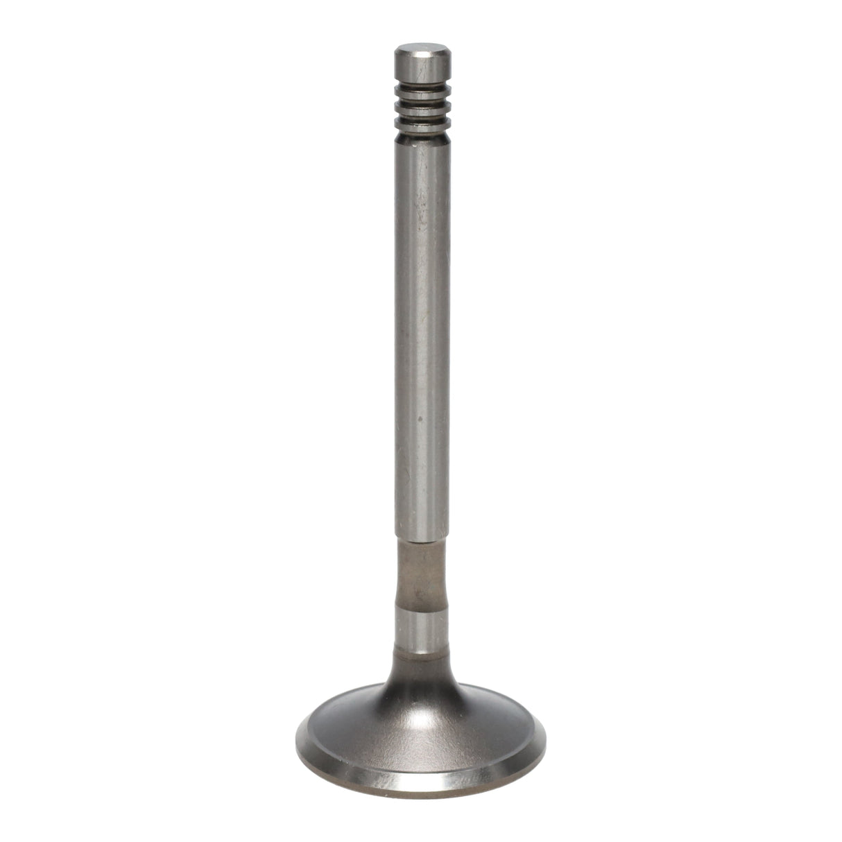 Exhaust Valve