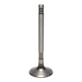 Exhaust Valve