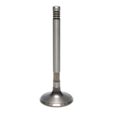 Exhaust Valve