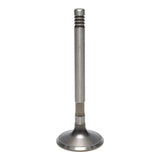 Exhaust Valve