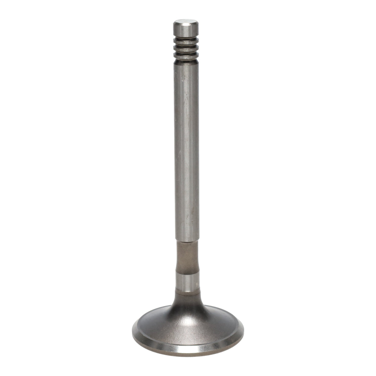 Exhaust Valve