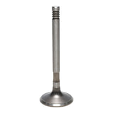 Exhaust Valve