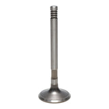Exhaust Valve