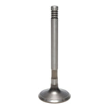 Exhaust Valve