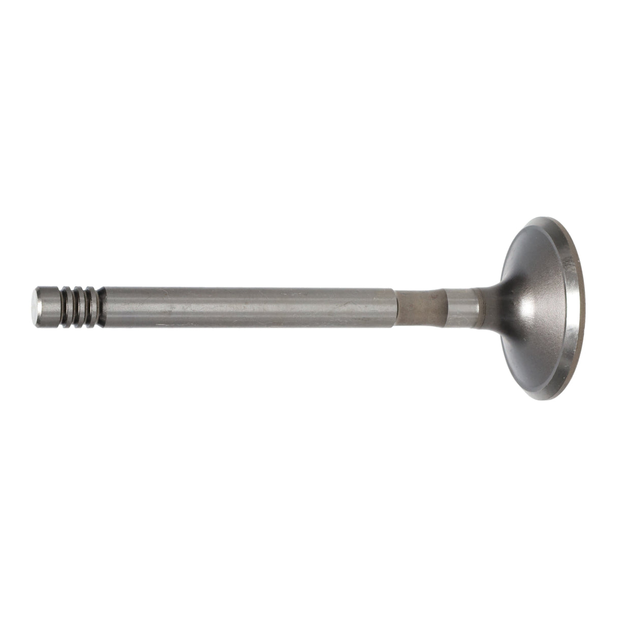 Exhaust Valve