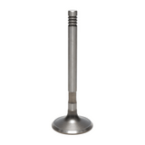 Exhaust Valve