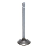 Exhaust Valve