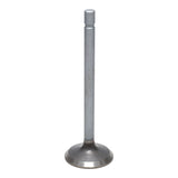 Exhaust Valve