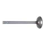 Exhaust Valve